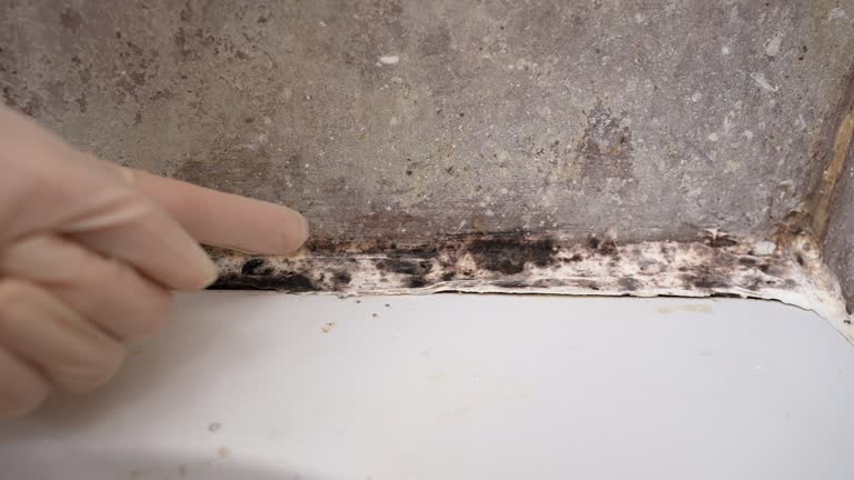 Best Indoor Air Quality Assessment  in Dexter, NM